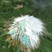 modello 3D di Mount Taranaki / mount Egmont modello 3D / modello 3D del monte Taranaki, Nuova Zelanda comprare - rendering