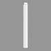 3d model Column (body) L913 (2) - preview