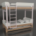 3d model Bunk bed TUNE U (UPTUA2) - preview