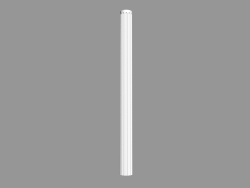 Columna (cuerpo) L930 (2)