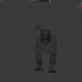 Raptor Animation 3D-Modell kaufen - Rendern