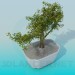 3d model Bonsai tree - preview