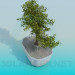 3d model Bonsai tree - preview