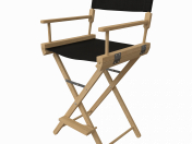 Director's chair