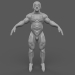 Modelo 3d Humana - preview