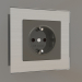 3d model Socket with earth (grey-brown) - preview