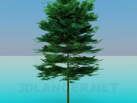 3d model Thick tree - preview