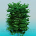 3d model Thick tree - preview