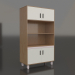 3d model Bookcase TUNE V (WPTVAA) - preview