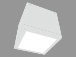 Plafonnier LOFT CEILING (S6671)