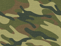 camo fabric 38