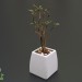 3d Houseplant model buy - render