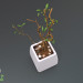 3d Houseplant model buy - render