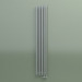 modèle 3D Radiateur vertical RETTA (6 sections 1800 mm 60x30, technolac) - preview