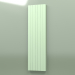 modèle 3D Radiateur - Narbonne V (NV 10 1800502, RAL - 6019) - preview