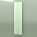 modèle 3D Radiateur - Narbonne V (NV 10 2000502, RAL - 6019) - preview