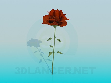 Modelo 3d Flor - preview