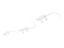 Decorative shapes Lizard Silver