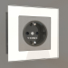 3d model Socket with earthing, shutters and lighting (brushed nickel) - preview