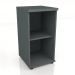 modello 3D Libreria Standard A2902 (402x432x777) - anteprima