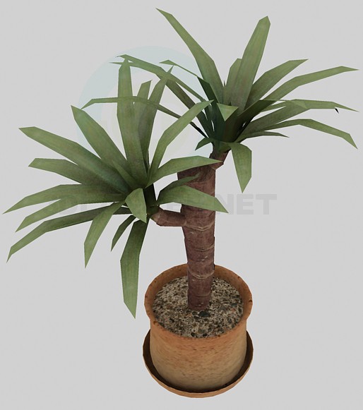 3D modeli Palm - önizleme