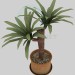 Modelo 3d Palm - preview