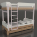 3d model Bunk bed TUNE J (UPTJA2) - preview