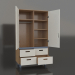 3d model Open wardrobe TUNE HA (WBTHAA) - preview