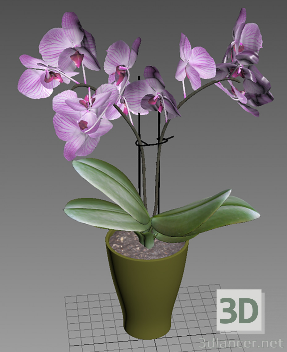 3d model Orquidea 3d model - vista previa