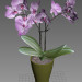 3d model Orchid 3d model - preview