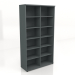 modello 3D Libreria Standard A6506 (1200x432x2185) - anteprima