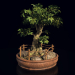 Bonsai-Baum 3D-Modell kaufen - Rendern