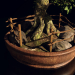 Bonsai-Baum 3D-Modell kaufen - Rendern