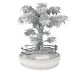 Bonsai-Baum 3D-Modell kaufen - Rendern