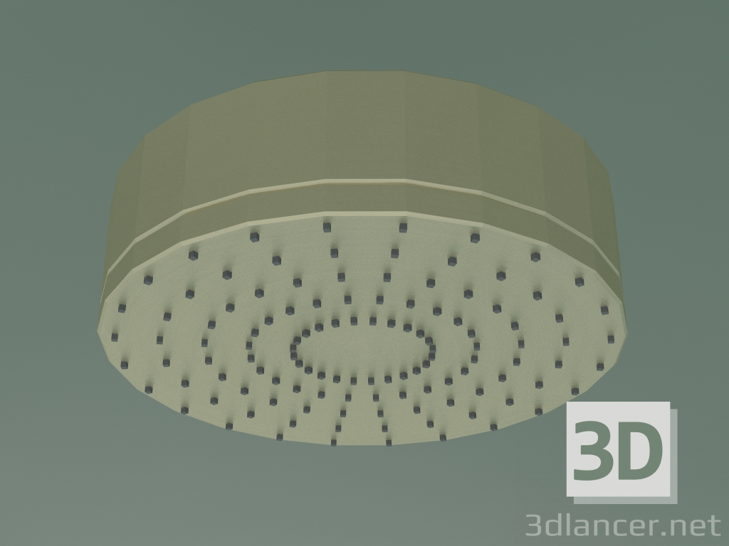 3d model Overhead shower 180 1 jet (28489250) - preview