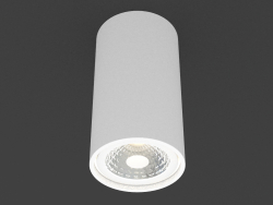 lampada LED Superficie (N1595 White_RAL9003)