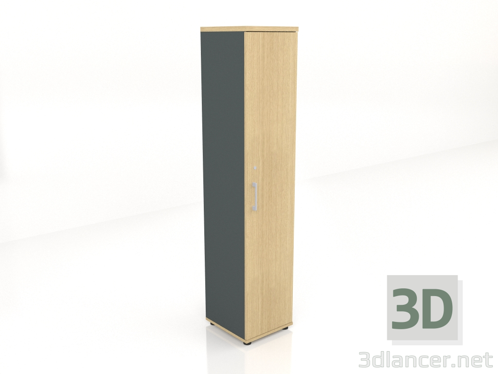 3D Modell Schaltschrank Standard MEA56P2 (402x432x1945) - Vorschau