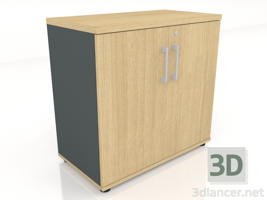 3D Modell Schaltschrank Standard A2104 (801x432x777) - Vorschau