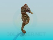 Sea horse