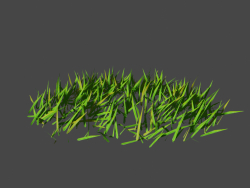 grass