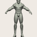 modèle 3D Bodybuilder - preview