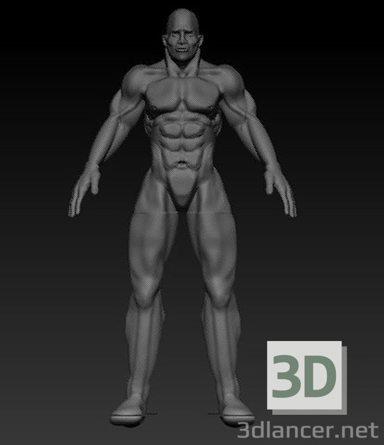 3d model Human - preview