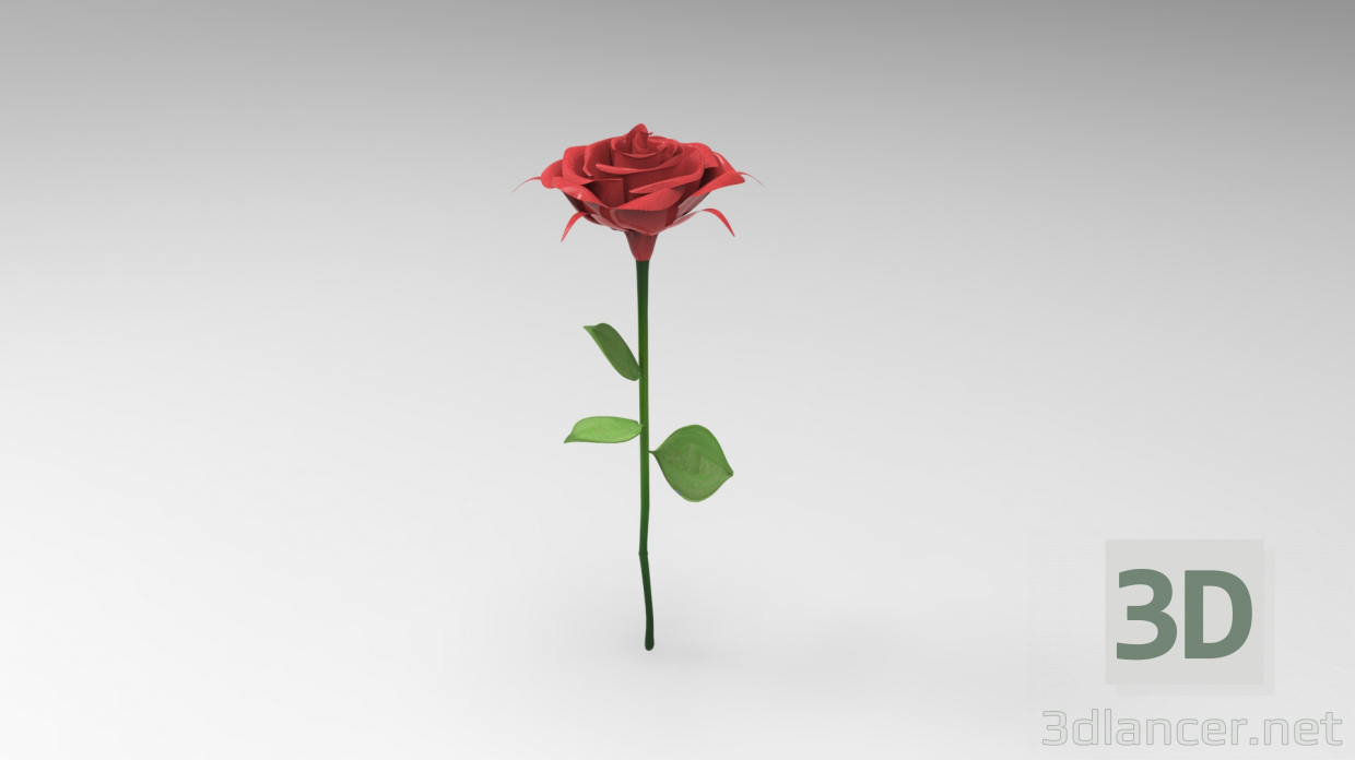 Modelo 3d ROSA - preview