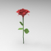 Modelo 3d ROSA - preview