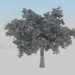 3d model Oak-tree - preview