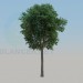 3d model ash-tree - preview