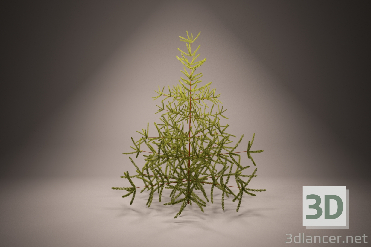 3d Christmas tree, spruce, ялина, ялинка, хвойне дерево модель купити - зображення