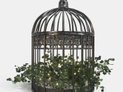 Decorative cage