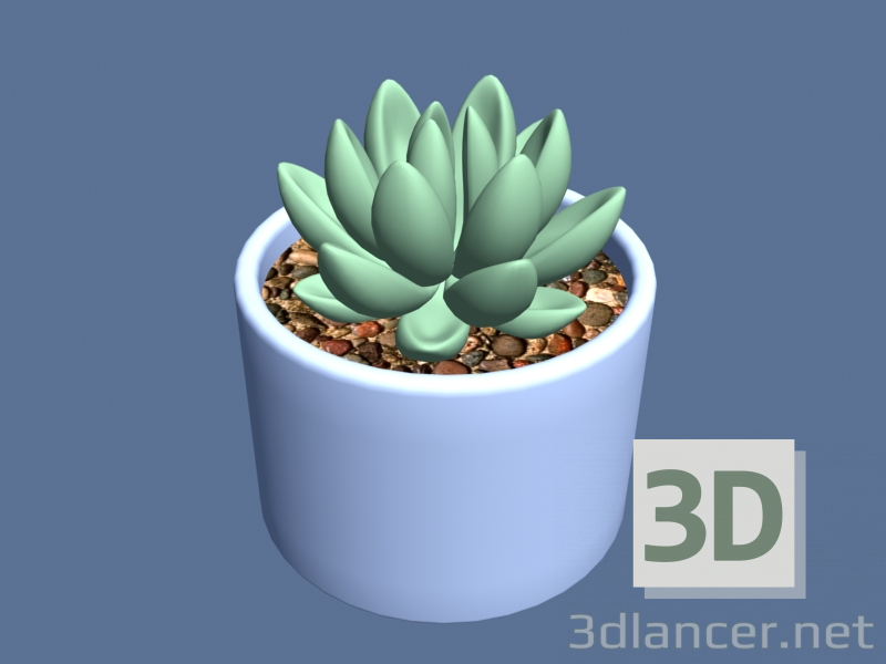 3d model Suculenta en una maceta - vista previa