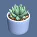 modello 3D Succulenta in una pentola. - anteprima